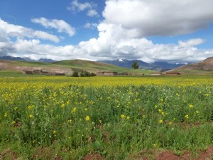 landschap Chinchero